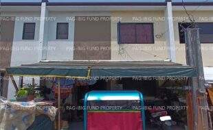 fil1520241002821