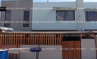 fil1520241003089