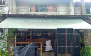 fil1520241003782