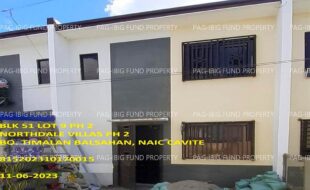fil1520241004008