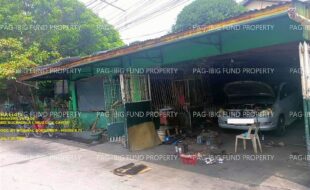 fil1520241005231