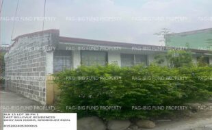 fil1520241008033