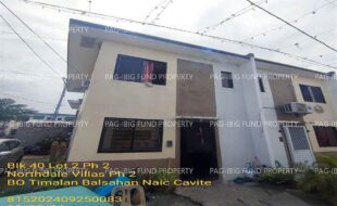 fil1520241008240