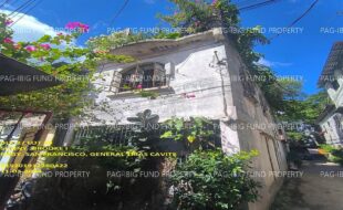 fil1520241105233