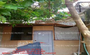 fil1520241115570