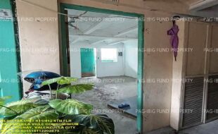 fil1520241118117