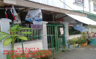 fil1520241119449