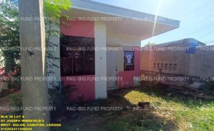 fil1520241209172
