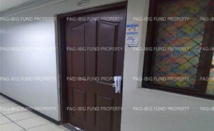 fil1520241210206