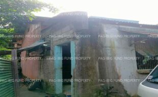 fil1520241212206