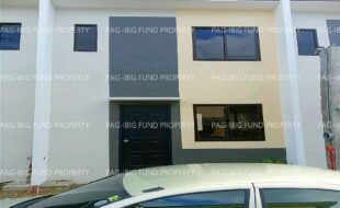 fil1520241214101