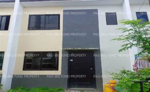 fil1520241214146