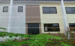 fil1520241214184