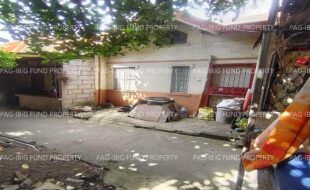 fil1520241217422