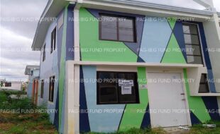 fil1520241228062