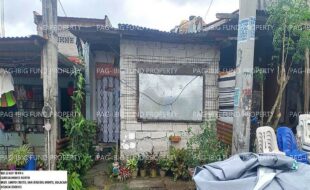 fil1520250113474