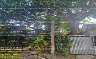 fil1520250204211