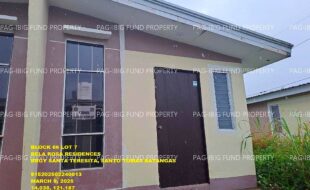 fil1520250310325