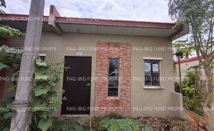 fil1520250408226