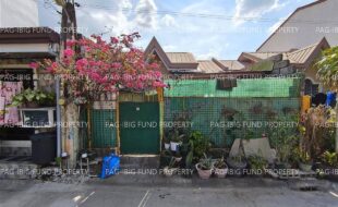 fil1520250514086