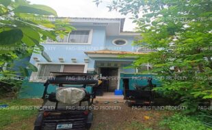 fil1520250602223