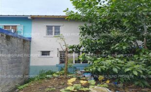 fil1520250610085