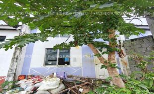 fil1520250811498