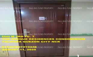 fil1520250812199