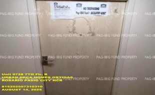 fil1520250815485