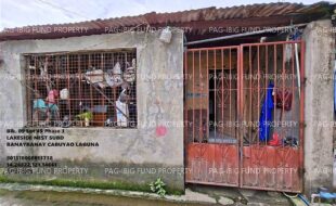 fil1520250819256