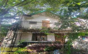 fil1520250827132