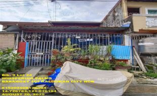 fil1520250828097