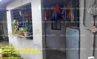 fil1520250828232
