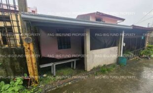 fil1520251006045
