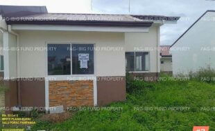 fil1520251014200