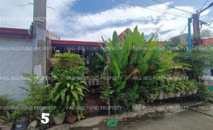 fil1520251104252