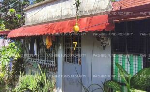 fil1520251205118