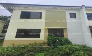 fil1520260107200