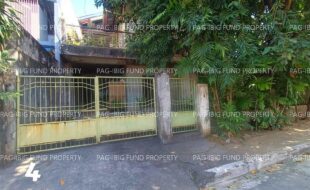 fil1520260126252