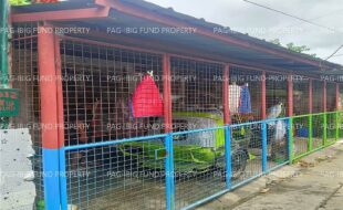 fil1520260603433
