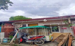 fil1520260610151