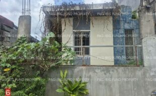 fil1520260610293