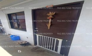 fil1520260626006