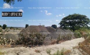 fil2820240831013