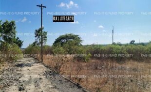 fil2820240831031
