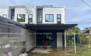 fil3420241226001