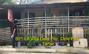 fil4020210813010