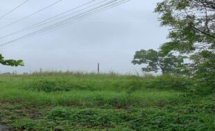 fil4020211025031
