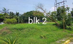 fil4020211103036