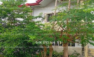 fil4020220823003
